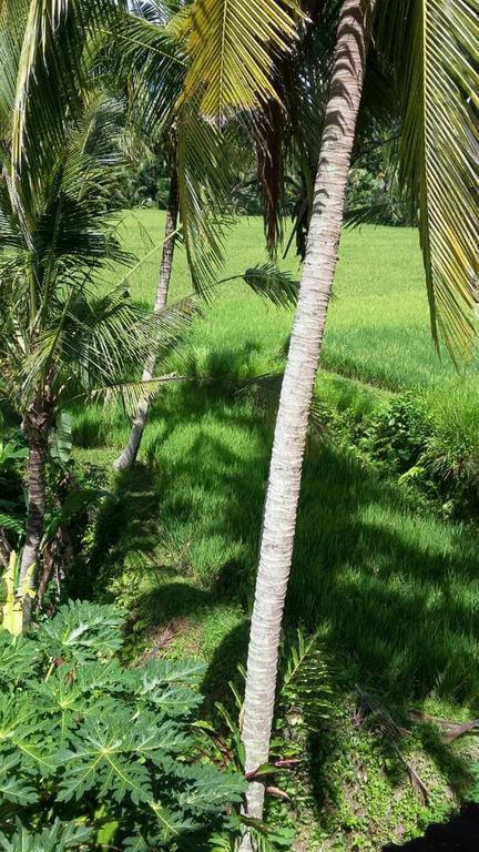 Kishi-Kishi Ubud Villas Экстерьер фото