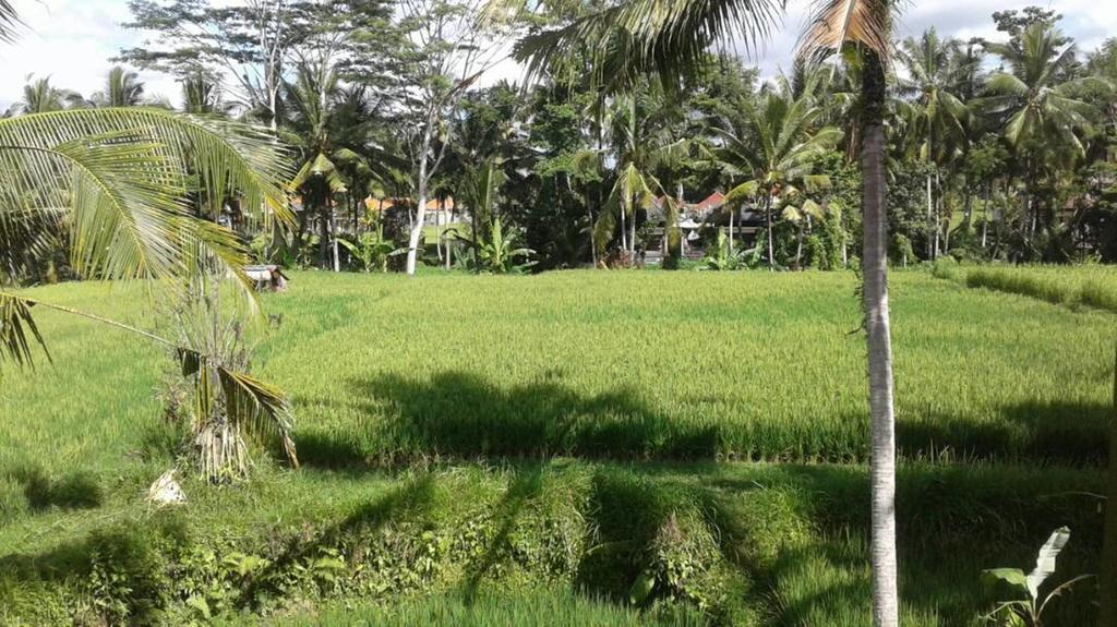 Kishi-Kishi Ubud Villas Экстерьер фото