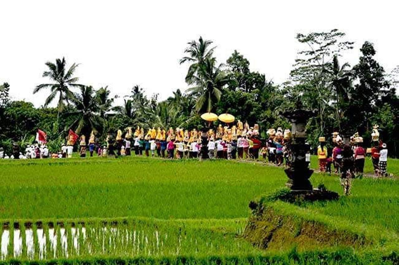 Kishi-Kishi Ubud Villas Экстерьер фото